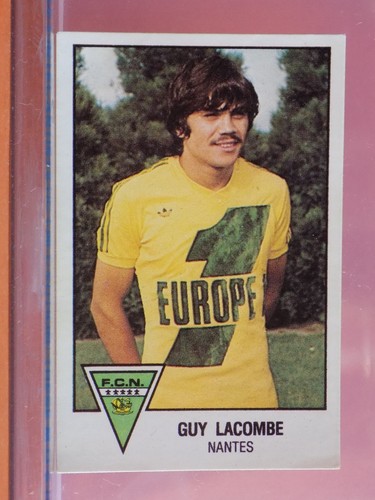 Vignette panini football - panini, 79
